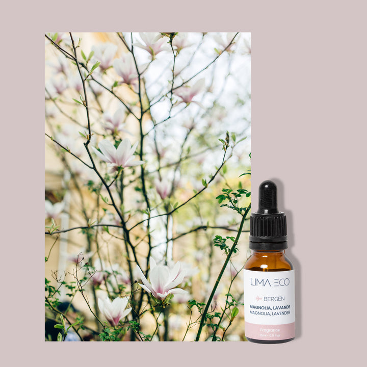 Fragrance magnolia & lavande - Bergen
